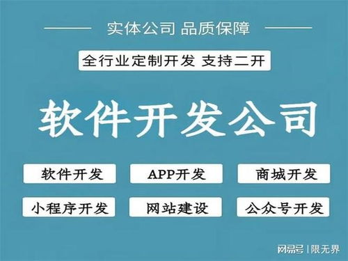 北京軟件開發公司開發能力綜合評估 技術實力與創新實踐