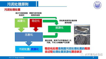城市污水廠污泥處置工藝技術路線研究與軟件技術開發 — 以同濟戴曉虎團隊成果為例